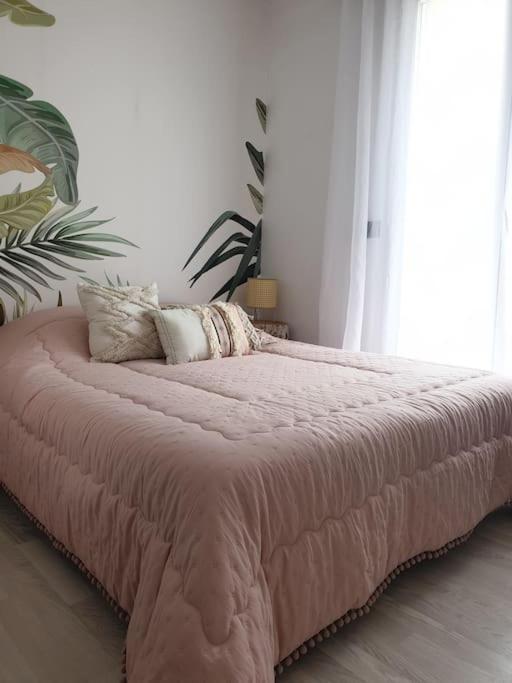Anglet Biarritz Appartement Avec Piscine Екстер'єр фото